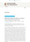 Morphometric Changes of Hair Follicles in Rat Excisional Wounds Treated by Hirudo Verbana Extract