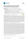 Analysis of lncRNAs Expression Profiles in Hair Follicles of Hu Sheep Lambskin