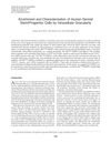 Enrichment and Characterization of Human Dermal Stem/Progenitor Cells by Intracellular Granularity