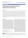 PAK4 Signaling in Health and Disease: Defining the PAK4–CREB Axis