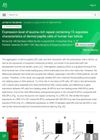 Expression Level of Leucine-Rich Repeat Containing 15 Regulates Characteristics of Dermal Papilla Cells of Human Hair Follicle