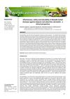 Effectiveness, Safety, and Tolerability of Dheedhi Herbal Shampoo Against Alopecia and Seborrheic Dermatitis: A Clinical Perspective