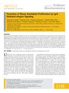 Promotion of Mouse Ameloblast Proliferation by Lgr5 Mediated Integrin Signaling