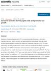 Serotonin Activates Dermal Papilla Cells and Promotes Hair Growth