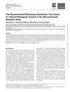 The Glucocorticoid Resistance Syndrome: Two Cases of a Novel Pathogenic Variant in the Glucocorticoid Receptor Gene