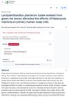 Lactiplantibacillus Plantarum Lysate From Green Tea Leaves Alleviates Effects of Malassezia Restricta on Human Scalp Cells