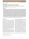 Trichoscopy of Alopecia Areata: An Update