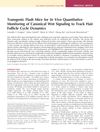 Transgenic Flash Mice for In Vivo Quantitative Monitoring of Canonical Wnt Signaling to Track Hair Follicle Cycle Dynamics