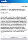 Classification of Visually Similar Scalp Diseases Using Deep Learning: A Hybrid CNN-VIT Approach With Cross-Attention Fusion