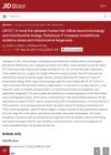 A Novel Link Between Human Hair Follicle Neuroimmunology and Mitochondrial Biology: Substance P Increases Intrafollicular Oxidative Stress and Mitochondrial Biogenesis