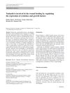 Tsukushi Is Involved in Wound Healing by Regulating the Expression of Cytokines and Growth Factors