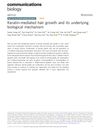 Keratin-Mediated Hair Growth and Its Underlying Biological Mechanism