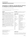 Investigation of Follicular and Non-Follicular Pathways for Polyarginine and Oleic Acid-Modified Nanoparticles