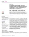 P63 Targeted Deletion Under the FOXN1 Promoter Disrupts Pre- and Post-Natal Thymus Development, Function, and Maintenance, and Induces Severe Hair Loss