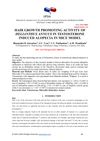 Hair Growth Promoting Activity of Helianthus Annuus in Testosterone Induced Alopecia in Mice Model