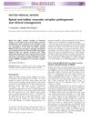 Spinal and Bulbar Muscular Atrophy: Pathogenesis and Clinical Management