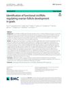 Identification of Functional circRNAs Regulating Ovarian Follicle Development in Goats