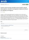 Systems Pharmacology Identifies Dermal Papilla-Specific Transcriptomic Reversal of Androgenetic Alopecia by Lithium-Zinc Pathway Convergence