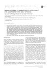 Manufacturing of Amber Particles Suitable for Composite Fiber Melt Spinning