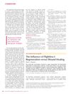 The Influence of Flightless I: Regeneration Versus Wound Healing