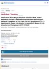 Verification of the Major Metabolic Oxidation Path for the Naphthoyl Group in Chemoattractant Receptor-Homologous Molecule Expressed on Th2 Cells (CRTh2) Antagonist 2-(2-(1-Naphthoyl)-8-fluoro-3,4-dihydro-1H-pyrido[4,3-b]indol-5(2H)-yl)acetic Acid (Setipiprant/ACT-129968)