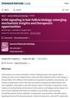 S100 Signaling in Hair Follicle Biology: Emerging Mechanistic Insights and Therapeutic Opportunities