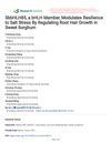 SbbHLH85, a bHLH Member, Modulates Resilience to Salt Stress by Regulating Root Hair Growth in Sweet Sorghum