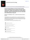 Post-Screening Follow-Up of the Finnish Prostate Cancer Screening Trial on Putative Prostate Cancer Risk Factors: Vitamin and Mineral Use, Male Pattern Baldness, Pubertal Development, and Non-Steroidal Anti-Inflammatory Drug Use