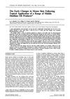 The Early Changes in Mouse Skin Following Topical Application of a Range of Middle Distillate Oil Products