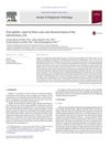 Oral Syphilis: Report of Three Cases and Characterization of the Inflammatory Cells