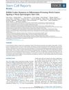 SHISA6 Confers Resistance to Differentiation-Promoting Wnt/β-Catenin Signaling in Mouse Spermatogenic Stem Cells