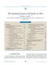 The Epithelial Stem Cell Niche in Skin