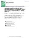 LncRNA-000133 from Secondary Hair Follicle of Cashmere Goat: Identification, Regulatory Network, and Its Effects on Inductive Property of Dermal Papilla Cells
