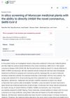 In Silico Screening of Moroccan Medicinal Plants with the Ability to Directly Inhibit the Novel Coronavirus, SARS-CoV-2