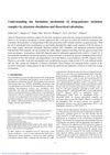Understanding the Formation Mechanism of Drug-Polymer Inclusion Complex by Structure Elucidation and Theoretical Calculation
