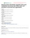 Natural Product Shi-Bi-Man Regulates Lactic Acid Metabolism and Drives Hair Follicle Stem Cell Activation to Promote Hair Regeneration