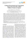 Combined Physicochemical and Transcriptomic Analyses Reveal the Effect of Black Wolfberry Ferment on Alopecia