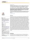 Clinical, Pathological, and Molecular Features of Classical and L-Type Atypical BSE in Goats