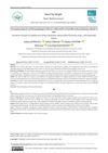 Electrophysiological and Histopathological Effects of Minoxidil on Penicillin-Induced Epilepsy Model in Rats