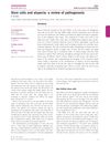 Stem Cells and Alopecia: A Review of Pathogenesis