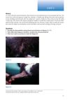 Case 5