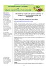 Hirsutism Due to Polycystic Ovarian Syndrome: An Integrative Review of Pathophysiology and Management