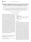 Regulation of Pathophysiological and Tissue Regenerative Functions of MSCs Mediated via the WNT Signaling Pathway: Review