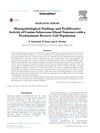 Histopathological Findings and Proliferative Activity of Canine Sebaceous Gland Tumors with a Predominant Reserve Cell Population