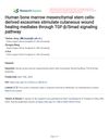 Human Bone Marrow Mesenchymal Stem Cells-Derived Exosomes Stimulate Cutaneous Wound Healing Mediated Through TGF-β/Smad Signaling Pathway