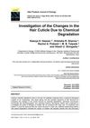 Investigation of the Changes in the Hair Cuticle Due to Chemical Degradation