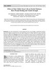 Effects of Hair Follicle Stem Cells on Partial-Thickness Burn Wound Healing and Tensile Strength