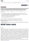 Engineered Exosomes Biopotentiated Hydrogel Promote Hair Follicle Growth via Reprogramming the Perifollicular Microenvironment