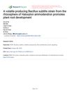 A Volatile Producing Bacillus Subtilis Strain From the Rhizosphere of Haloxylon Ammodendron Promotes Plant Root Development