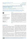 Seasonal Gene Expression Profile Responsible for Hair Follicle Development in Angora Goats